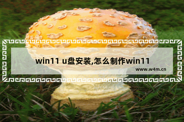 win11 u盘安装,怎么制作win11安装盘