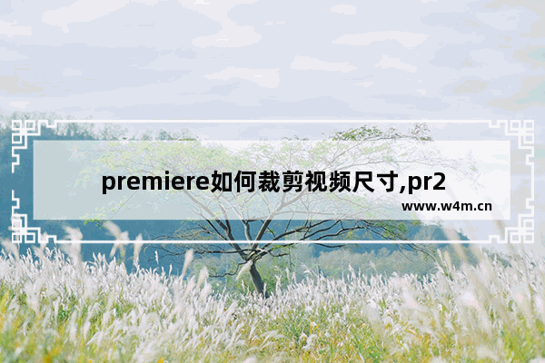 premiere如何裁剪视频尺寸,pr2015怎么裁剪视频画面大小