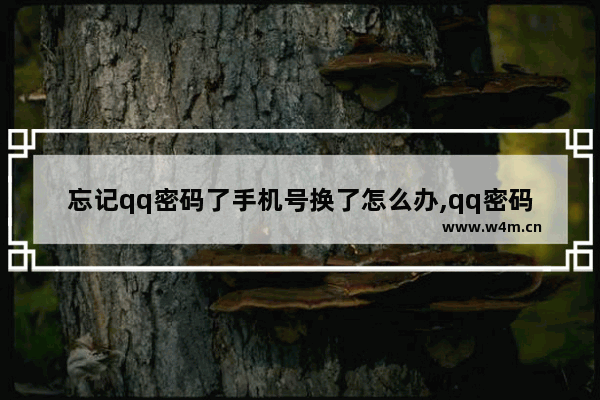 忘记qq密码了手机号换了怎么办,qq密码忘记手机号也换了怎么办