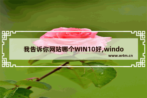 我告诉你网站哪个WIN10好,windows系统哪个网站好