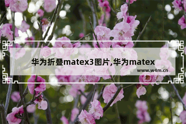 华为折叠matex3图片,华为matex3折叠手机上市时间