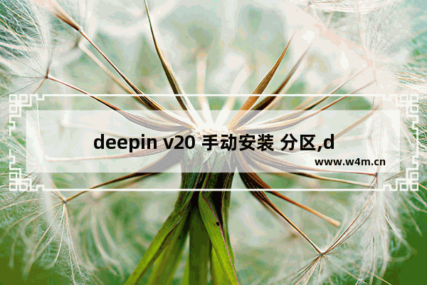 deepin v20 手动安装 分区,deepin20.1安装分区