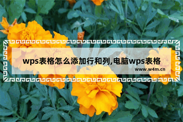 wps表格怎么添加行和列,电脑wps表格怎么增加行列