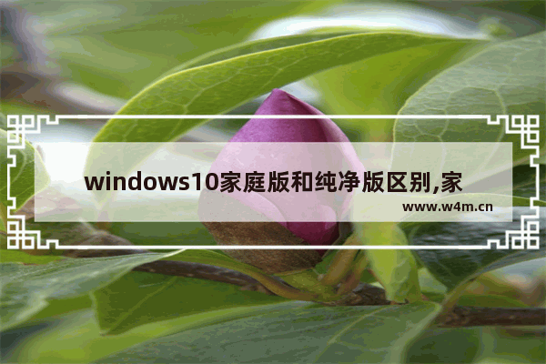 windows10家庭版和纯净版区别,家庭版w10和正版w10有什么区别