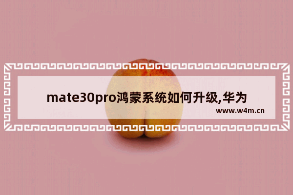 mate30pro鸿蒙系统如何升级,华为mate30pro升级鸿蒙系统时间