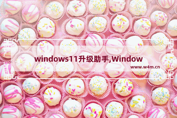 windows11升级助手,Windows 11 安装助手升级