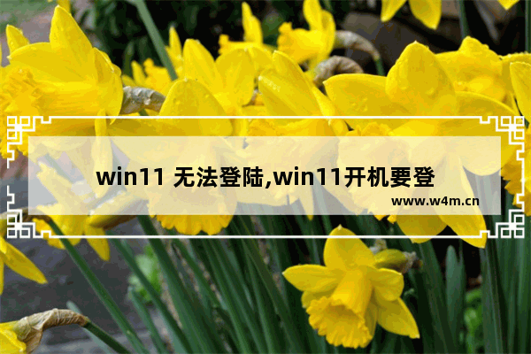 win11 无法登陆,win11开机要登陆账号进入不了系统