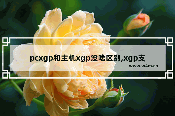 pcxgp和主机xgp没啥区别,xgp支持pc吗