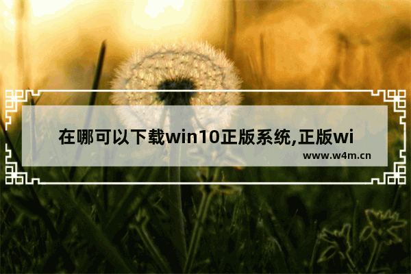 在哪可以下载win10正版系统,正版win10在哪里下载软件