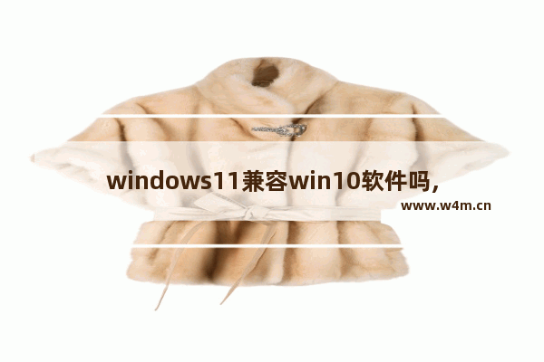 windows11兼容win10软件吗,Win11兼容性