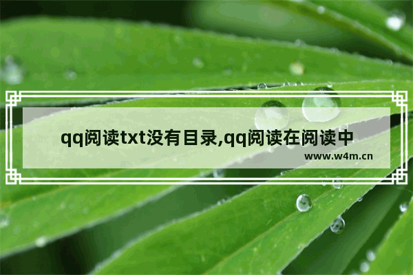 qq阅读txt没有目录,qq阅读在阅读中怎么找目录