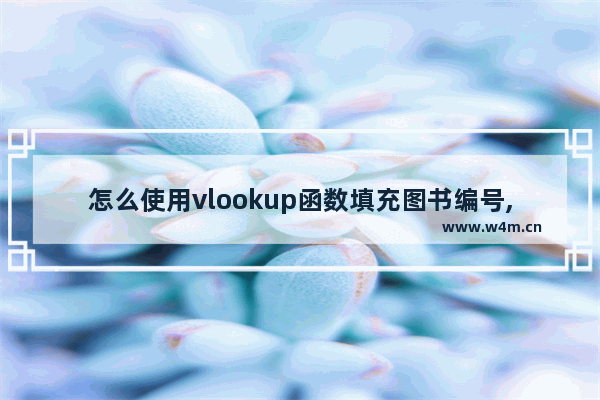 怎么使用vlookup函数填充图书编号,excelvlookup函数自动填充图书名称