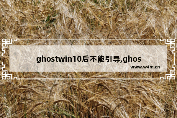 ghostwin10后不能引导,ghost系统后无法引导