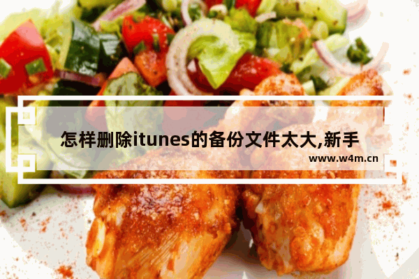 怎样删除itunes的备份文件太大,新手机内存小无法恢复,怎么删除itunes的备份