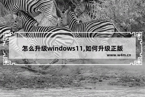 怎么升级windows11,如何升级正版win11