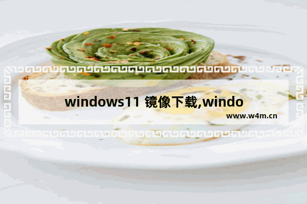 windows11 镜像下载,windows11镜像文件下载官网