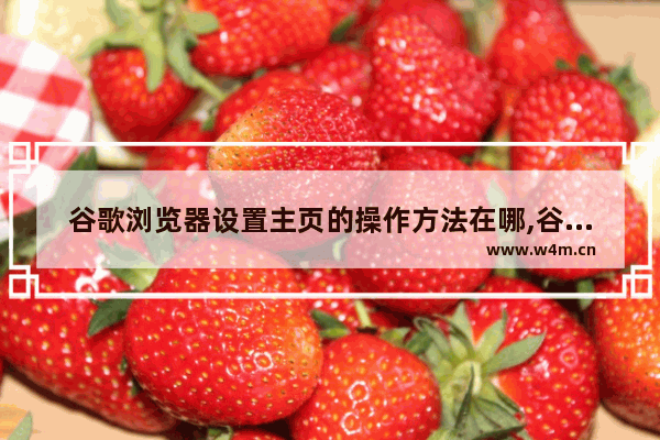 谷歌浏览器设置主页的操作方法在哪,谷歌浏览器主页如何设置