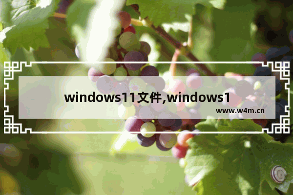 windows11文件,windows10安装源是哪个文件