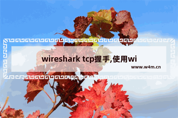 wireshark tcp握手,使用wireshark分析tcp协议