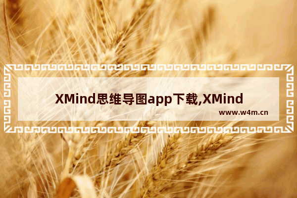 XMind思维导图app下载,XMind-用好思维导图走上开挂人生