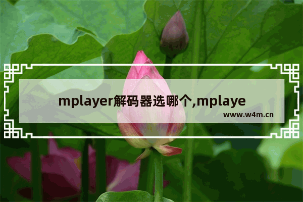 mplayer解码器选哪个,mplayer解码黑屏