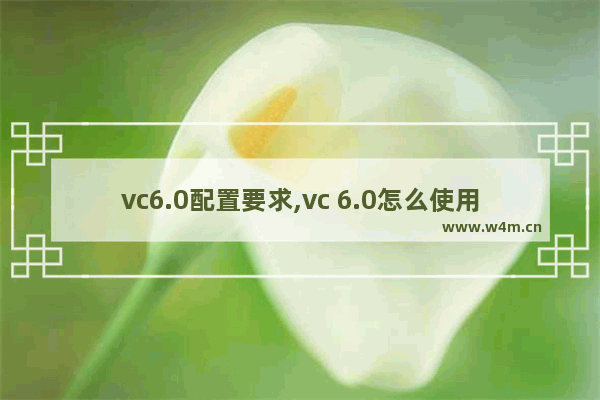 vc6.0配置要求,vc 6.0怎么使用