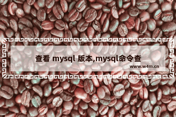 查看 mysql 版本,mysql命令查看版本