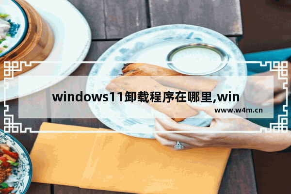 windows11卸载程序在哪里,windows10怎么卸载东西