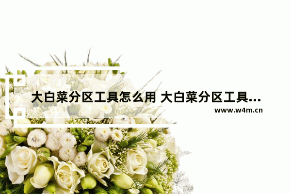 大白菜分区工具怎么用 大白菜分区工具的使用方法