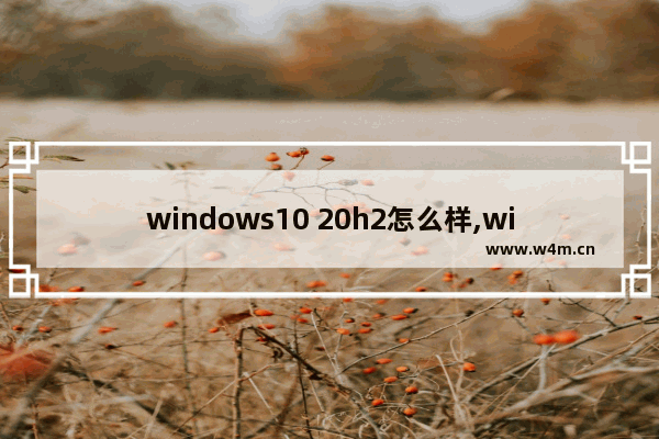 windows10 20h2怎么样,win10 21h2怎么样