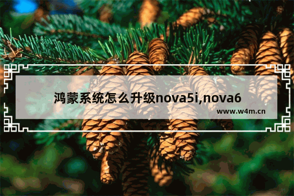 鸿蒙系统怎么升级nova5i,nova6升级鸿蒙系统时间