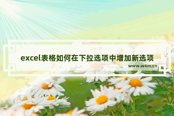 excel表格如何在下拉选项中增加新选项,excel新增下拉菜单内容