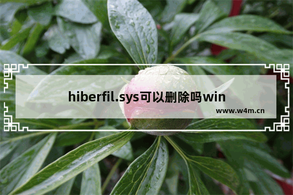 hiberfil.sys可以删除吗win11,hiberfil.sys可以删除吗-