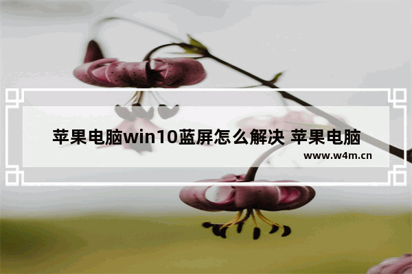 苹果电脑win10蓝屏怎么解决 苹果电脑win10蓝屏解决方法