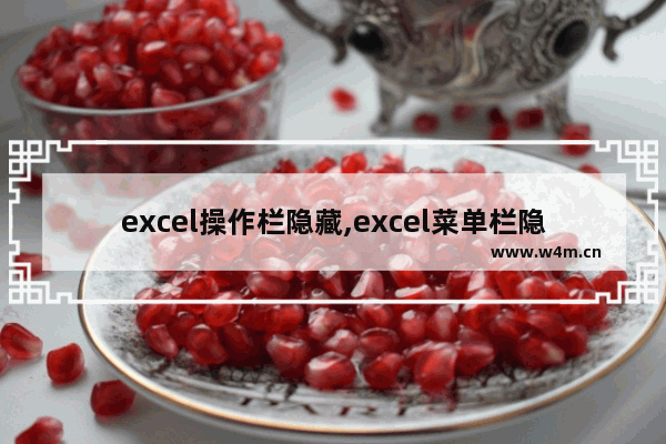 excel操作栏隐藏,excel菜单栏隐藏了怎样弄出来