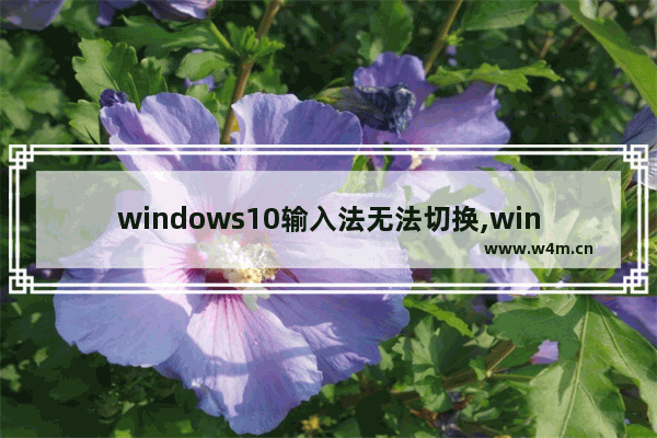 windows10输入法无法切换,win 10自带输入法切换不了