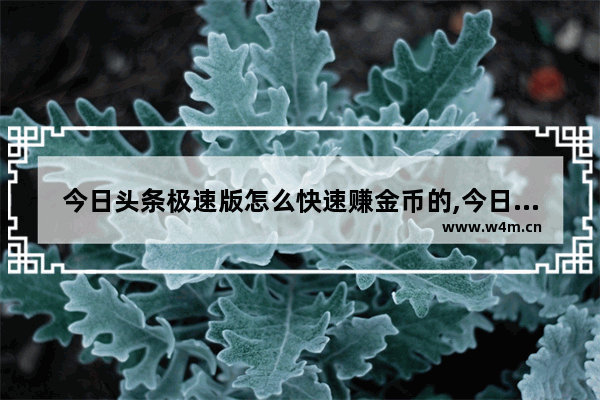 今日头条极速版怎么快速赚金币的,今日头条极速版怎么快速赚金币视频