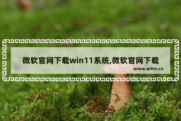 微软官网下载win11系统,微软官网下载windows11