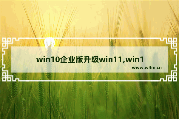 win10企业版升级win11,win11企业版ltsc