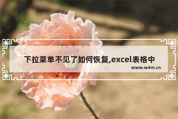 下拉菜单不见了如何恢复,excel表格中的下拉式怎么恢复