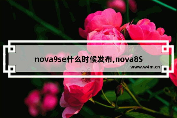 nova9se什么时候发布,nova8SE预计什么时候上市