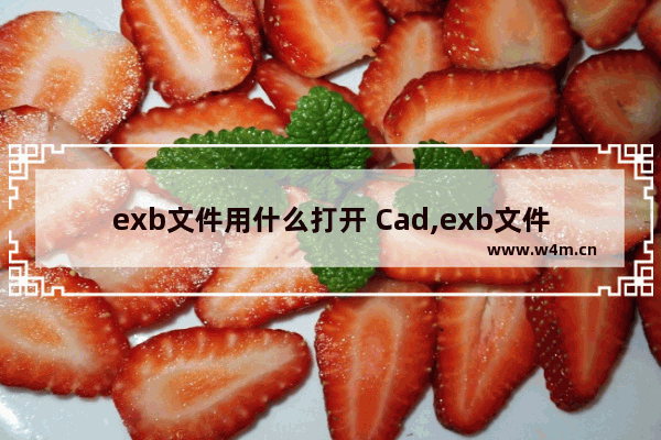 exb文件用什么打开 Cad,exb文件用什么打开 手机