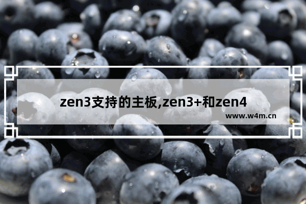 zen3支持的主板,zen3+和zen4