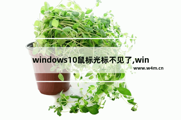 windows10鼠标光标不见了,window10鼠标光标不见了