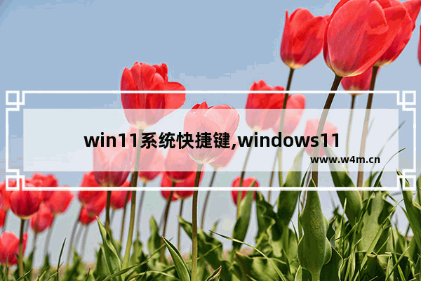 win11系统快捷键,windows11快捷键大全功能键