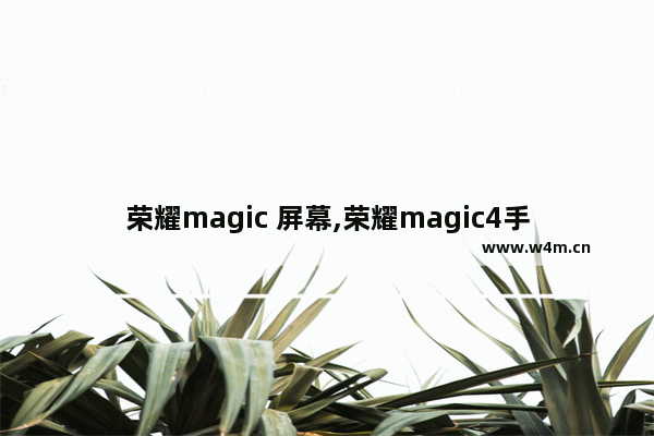 荣耀magic 屏幕,荣耀magic4手机参数