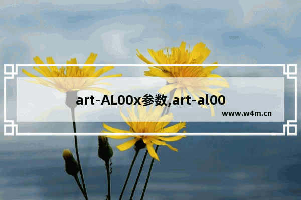 art-AL00x参数,art-al00x是多少钱