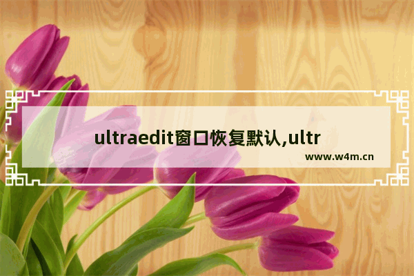 ultraedit窗口恢复默认,ultraedit工具栏不见了