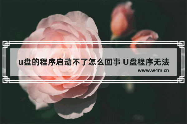 u盘的程序启动不了怎么回事 U盘程序无法启动的原因与解决方法