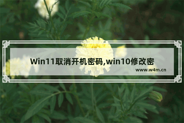 Win11取消开机密码,win10修改密码